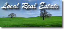 Local Real Estate
